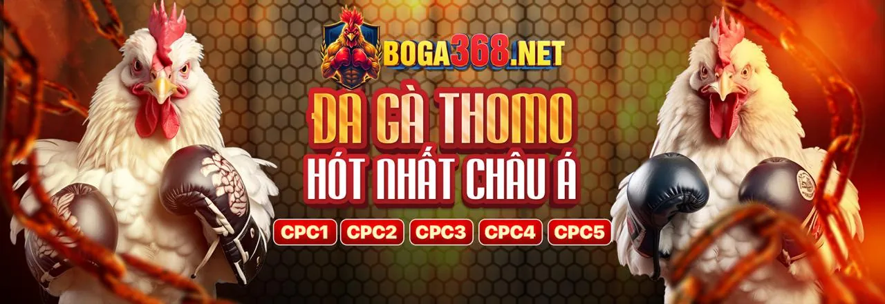 Cá cược thể thao W88